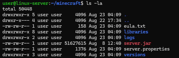 eula.txt and server.properties are in the ~/minecraft directory