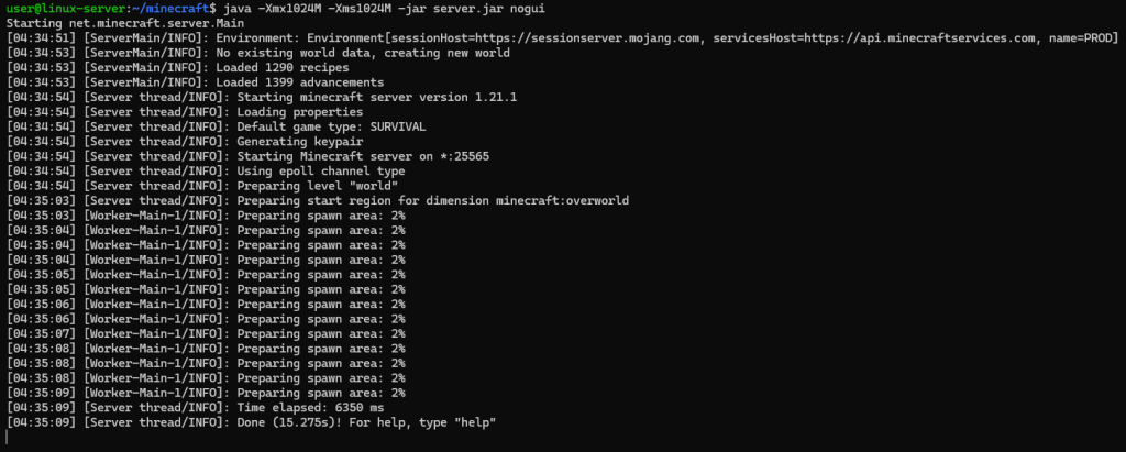 Re-executing the command java -Xmx1024M -Xms1024M -jar server.jar nogui