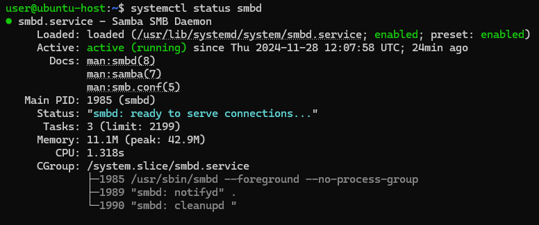 Samba service status