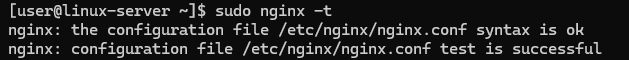 Testing the configuration of the Nginx web server