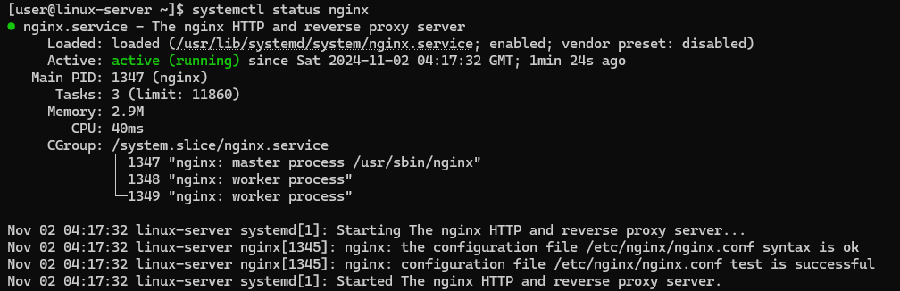 Checking the status of the Nginx service